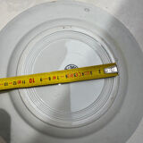 A Sodex plate