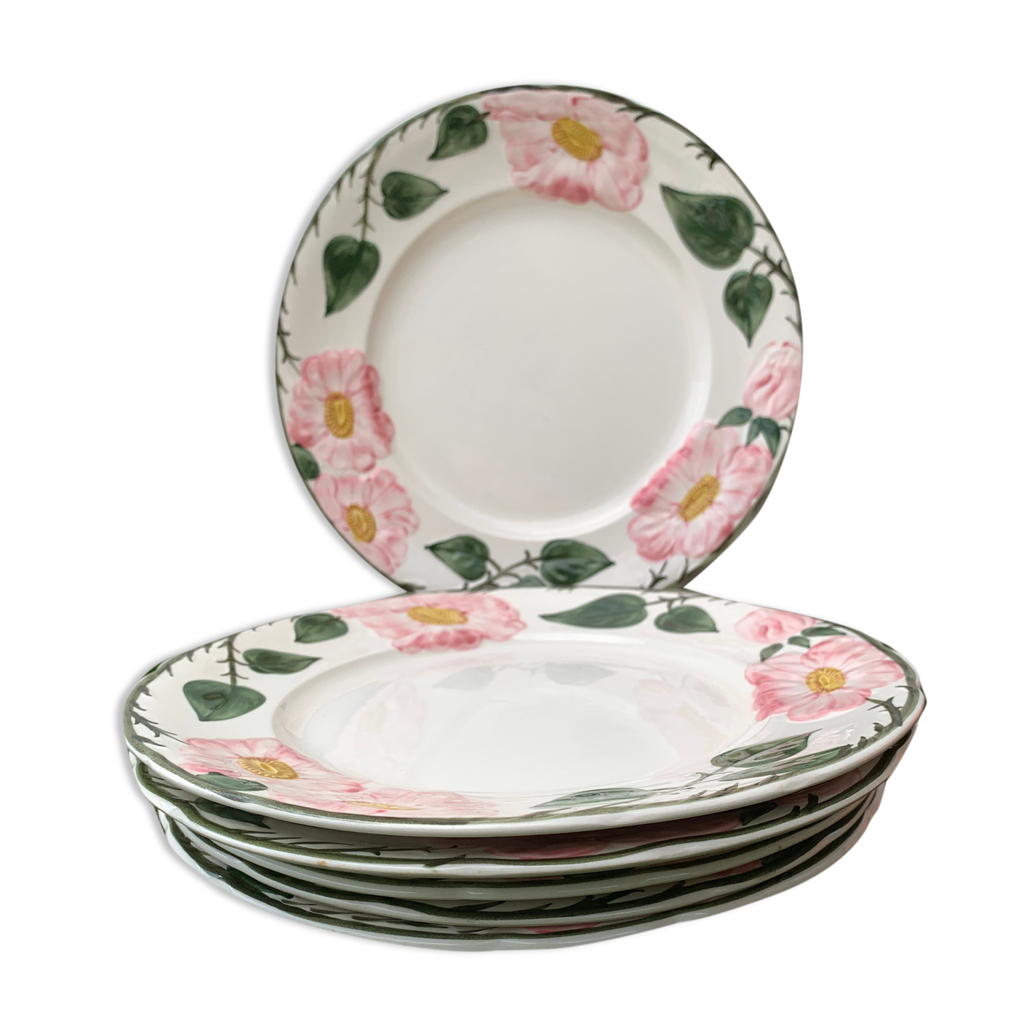 6 flat plates Villeroy and Boch, Wild-Rose model