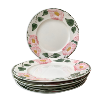 6 flat plates Villeroy and Boch, Wild-Rose model