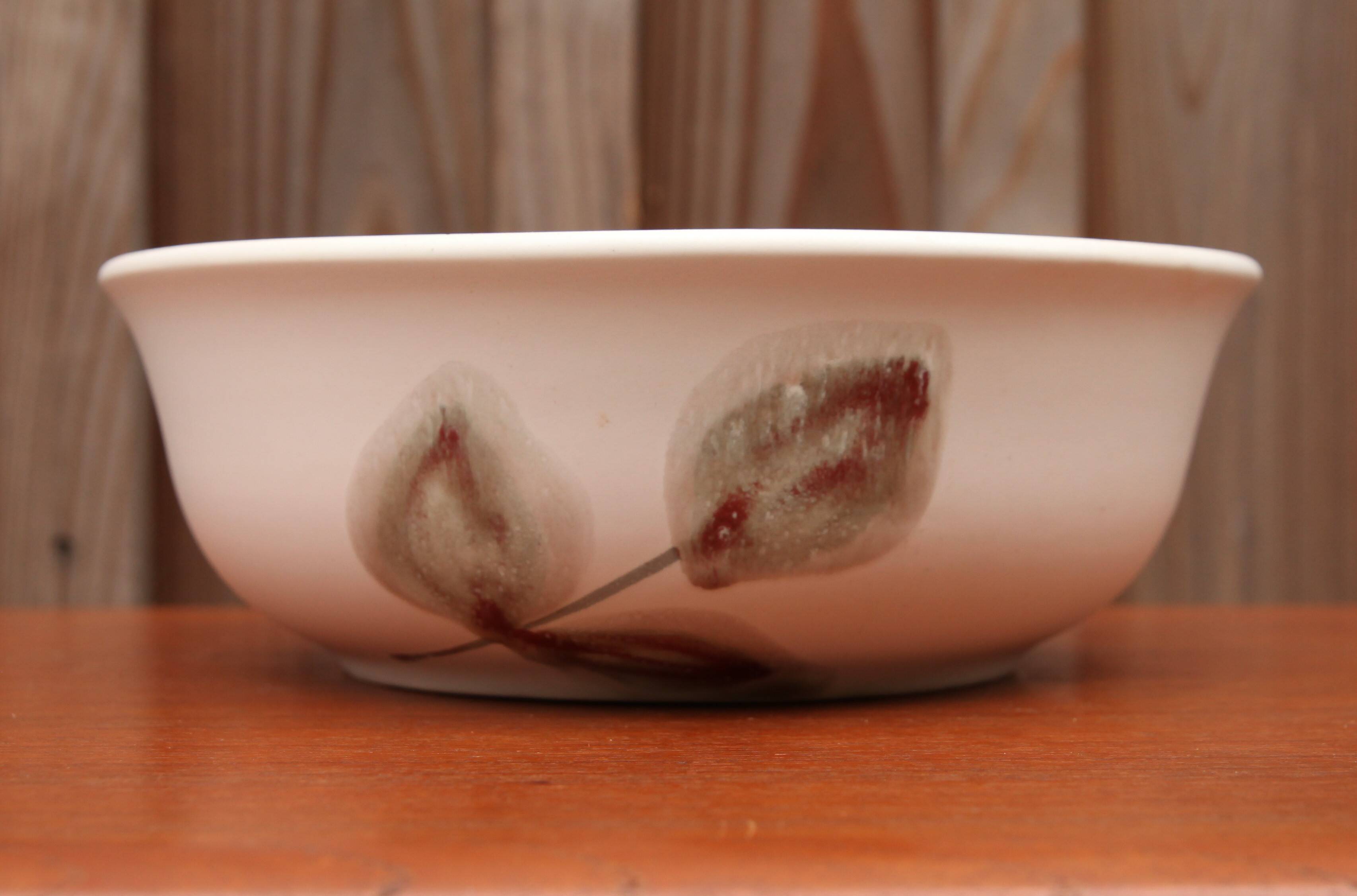Niderviller salad bowl with beech decor