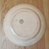 Large old round plate in iron earth