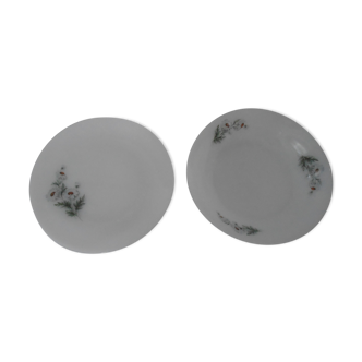 2 plats arcopal (creux et plat) fleurs marguerites blanches