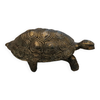 Turtle jewel box