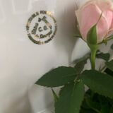 Service of 9 porcelain plates limoges