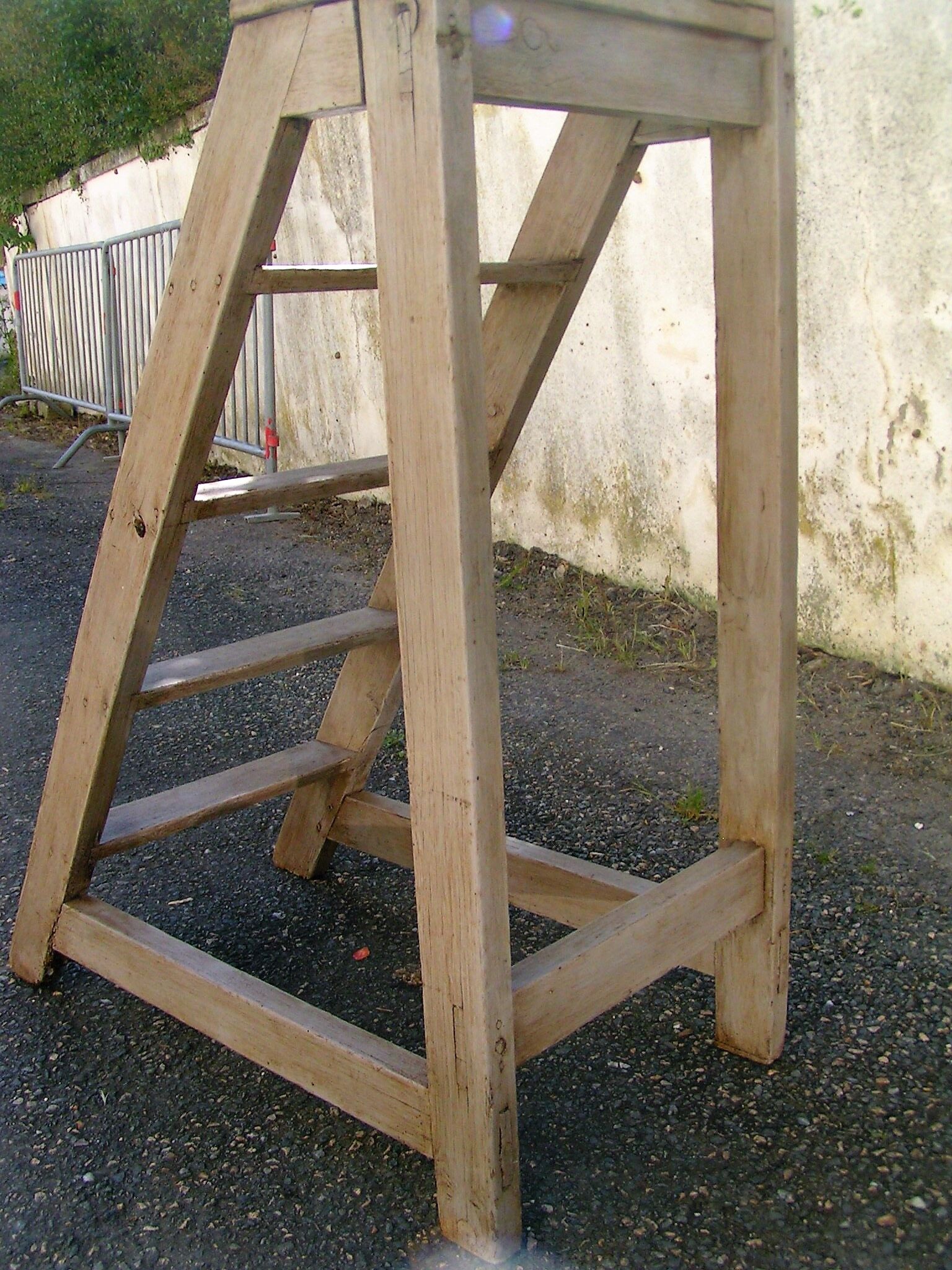 Library ladder