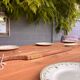 Grande table de ferme avec 2 bancs