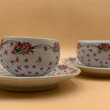 Cups and sub-cups