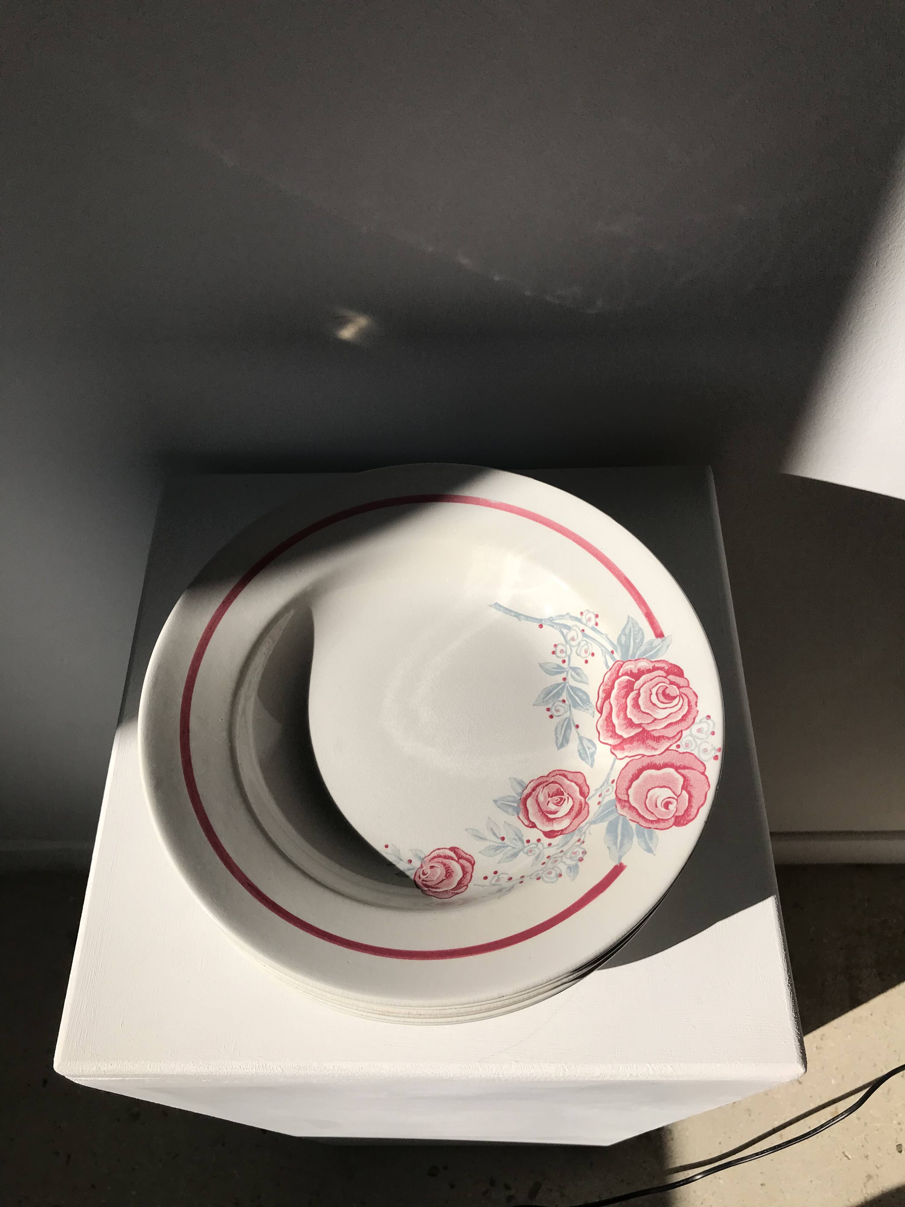 8 vintage Avranches earthenware plates decorated with roses