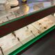 Entomology box showcase of dragonfly insects
