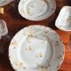 Rare service de table en porcelaine Haviland fin 19eme