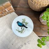 Round porcelain box "bird"
