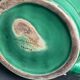 Green enamelled ceramic slurry jug Sarreguemines France