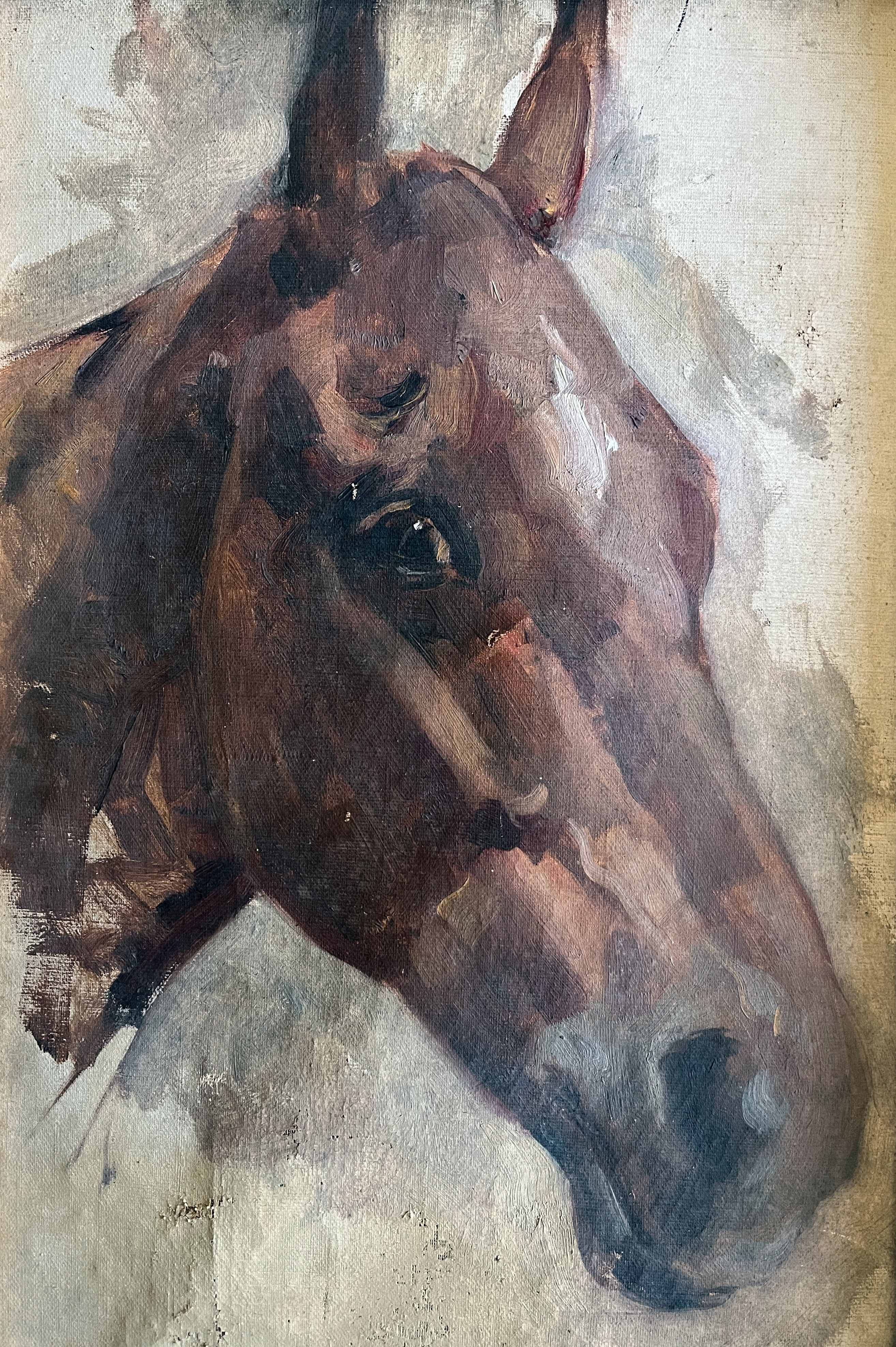 Tableau HST/P "Etude de tête de cheval" éc. début XX°