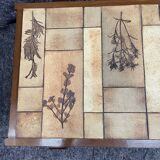 Coffee table in wood and ceramic herbarium
