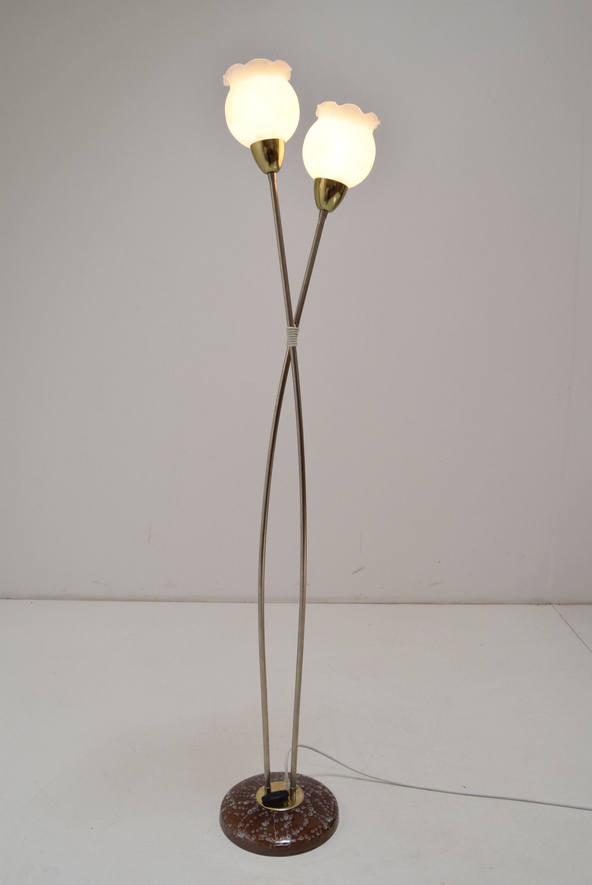 Mid-century Floor Lamp by Kamenicky  Senov,1960’s.