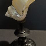 Cabinet of curiosities shell turbo petholatus pearl on base
