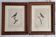 Ornithological engravings Audebert & Vieillot 1802 framed 50x40 cm