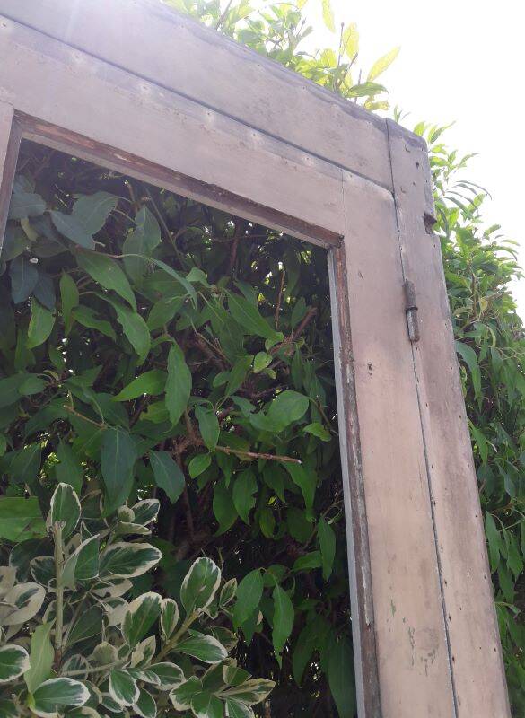 Old glazed door 211.5x105.5cm and its entrance door frame.