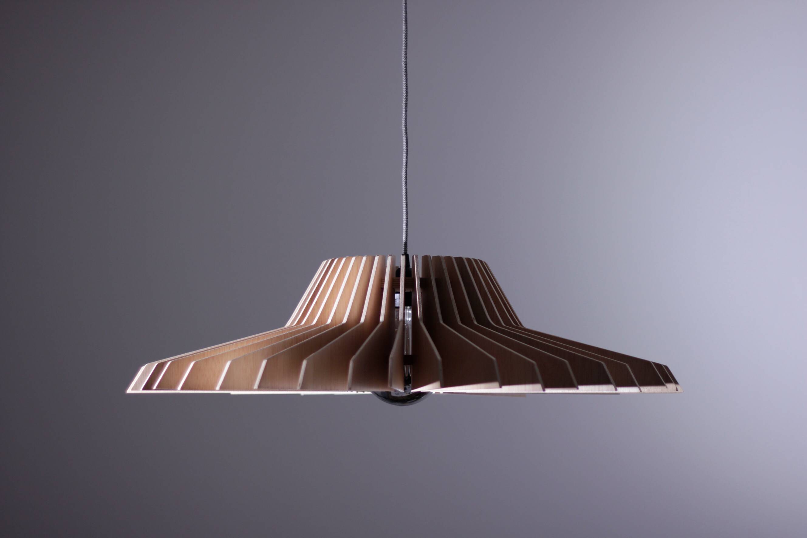 Large Format Pendant Lamp Alabama
