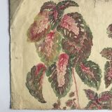 Solenostermon (Coleus Blumei), 1950s. Watercolor on paper