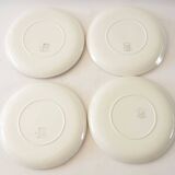 8 plates colors Salins