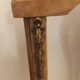 Chaises cannées en bois