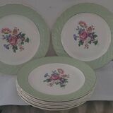 Dinner plates