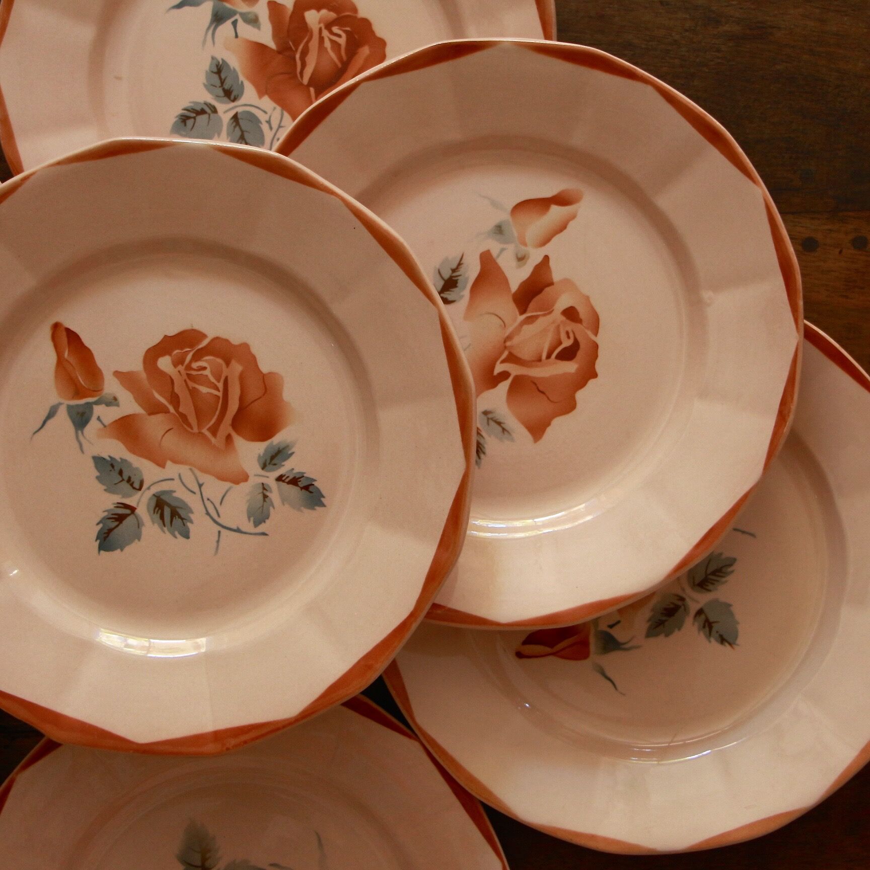 Assiettes plates DIgoin