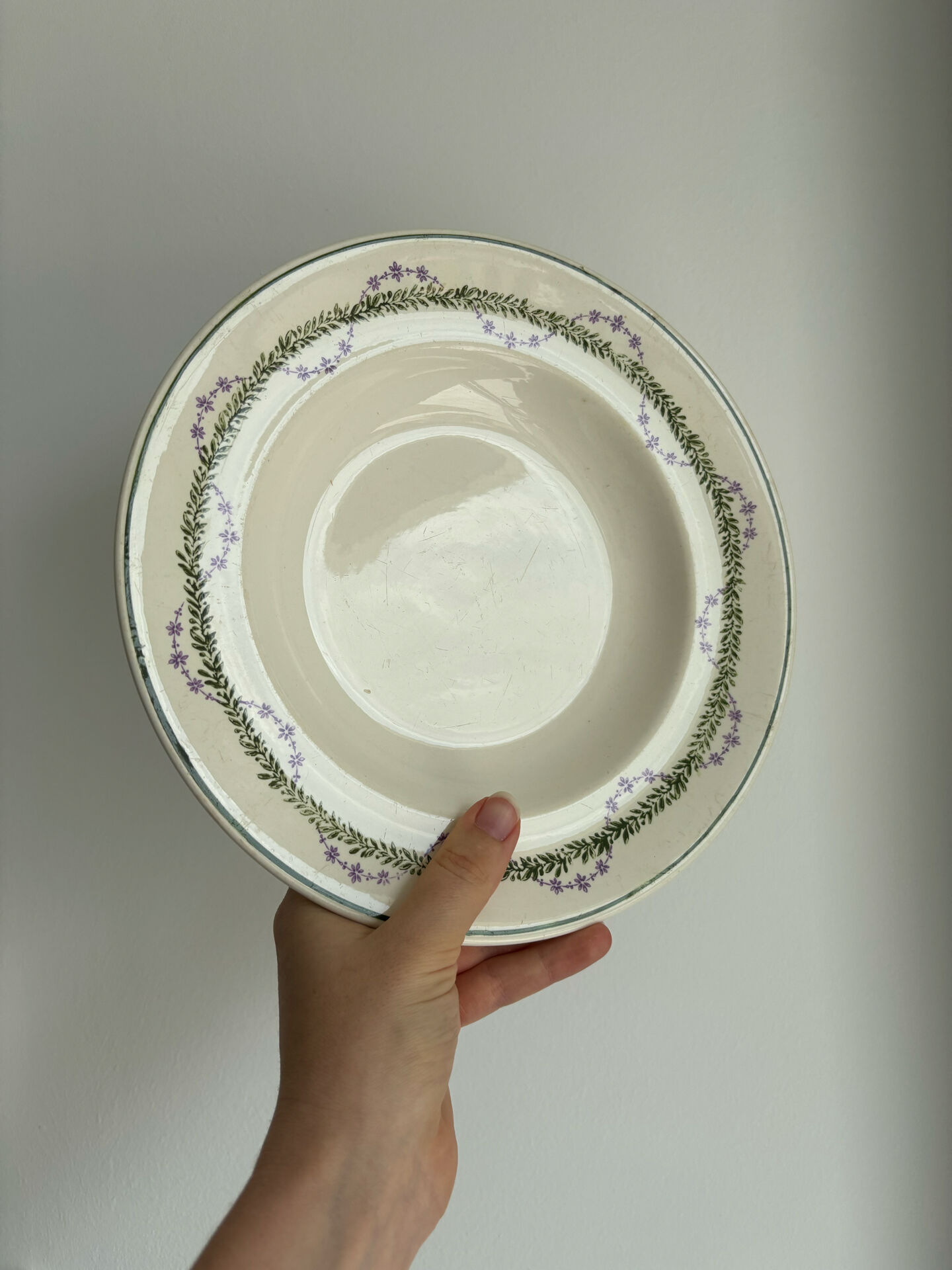 Hollow plate Longwy ironstone polychrome purple and green model L