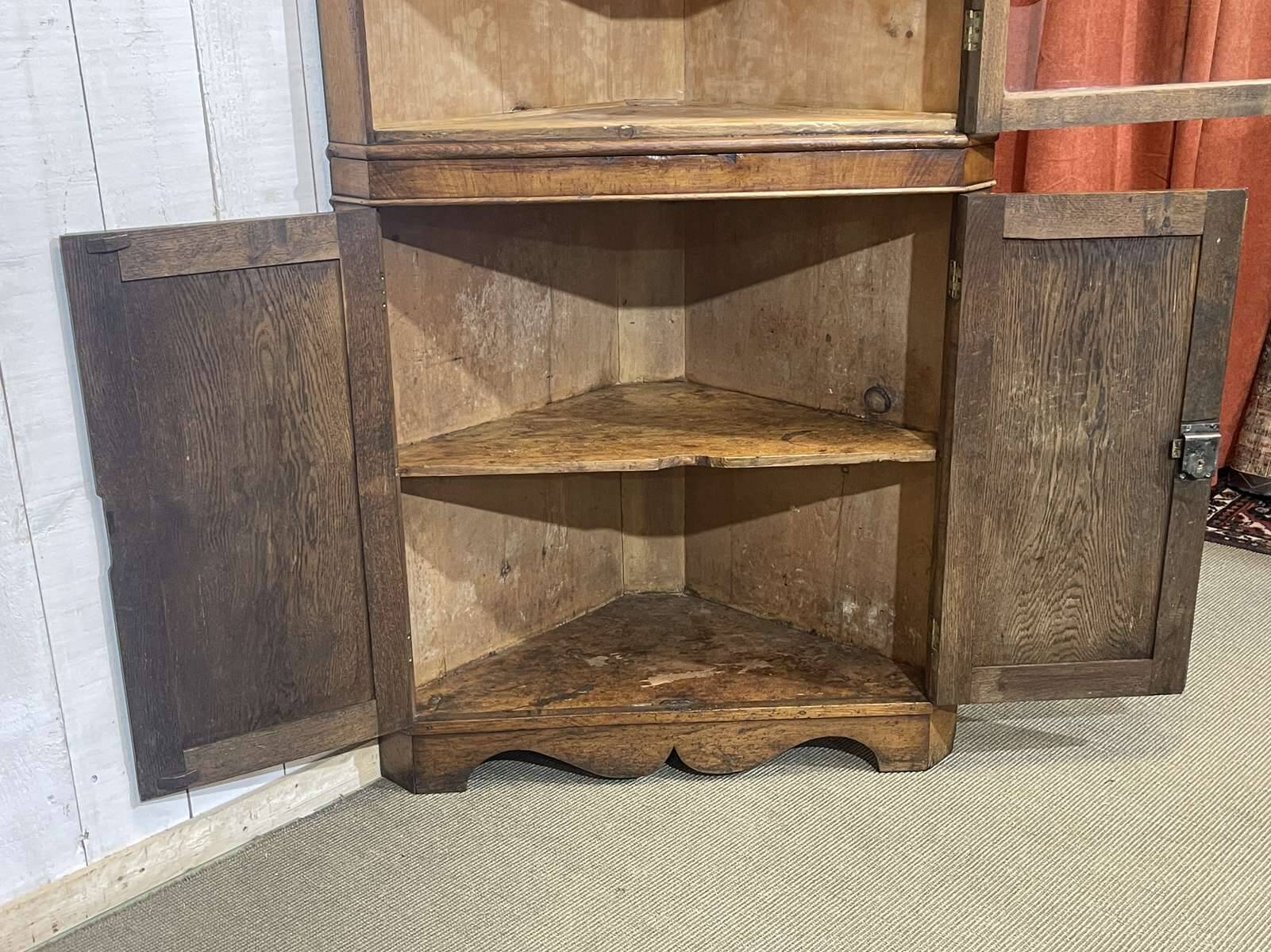 19th-century English corner cabinet in oak, mahogany, and fir.