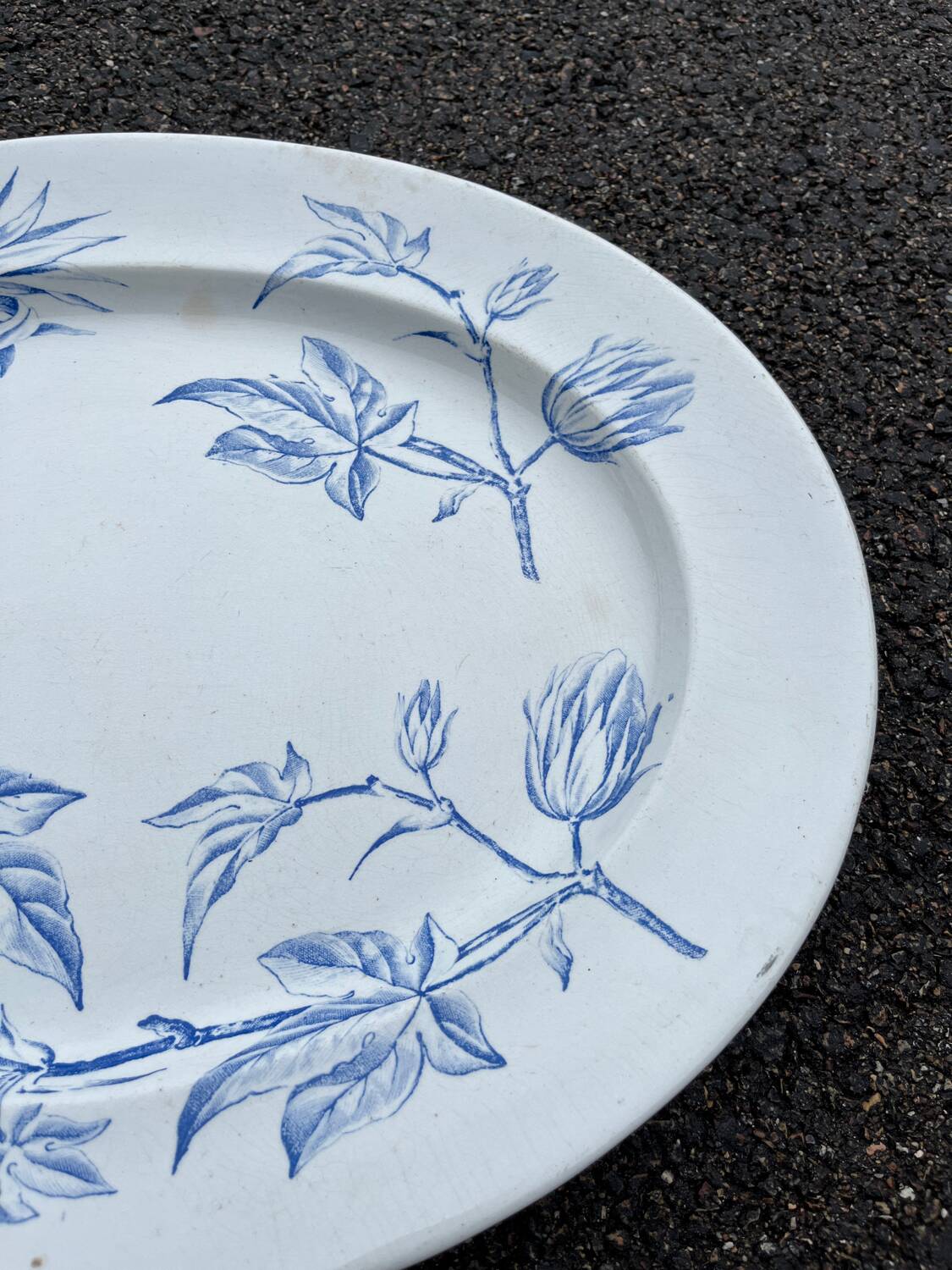 Large 19th century serving dish in English ironstone earthenware NWPCo Burslem "The Cotton Plant"