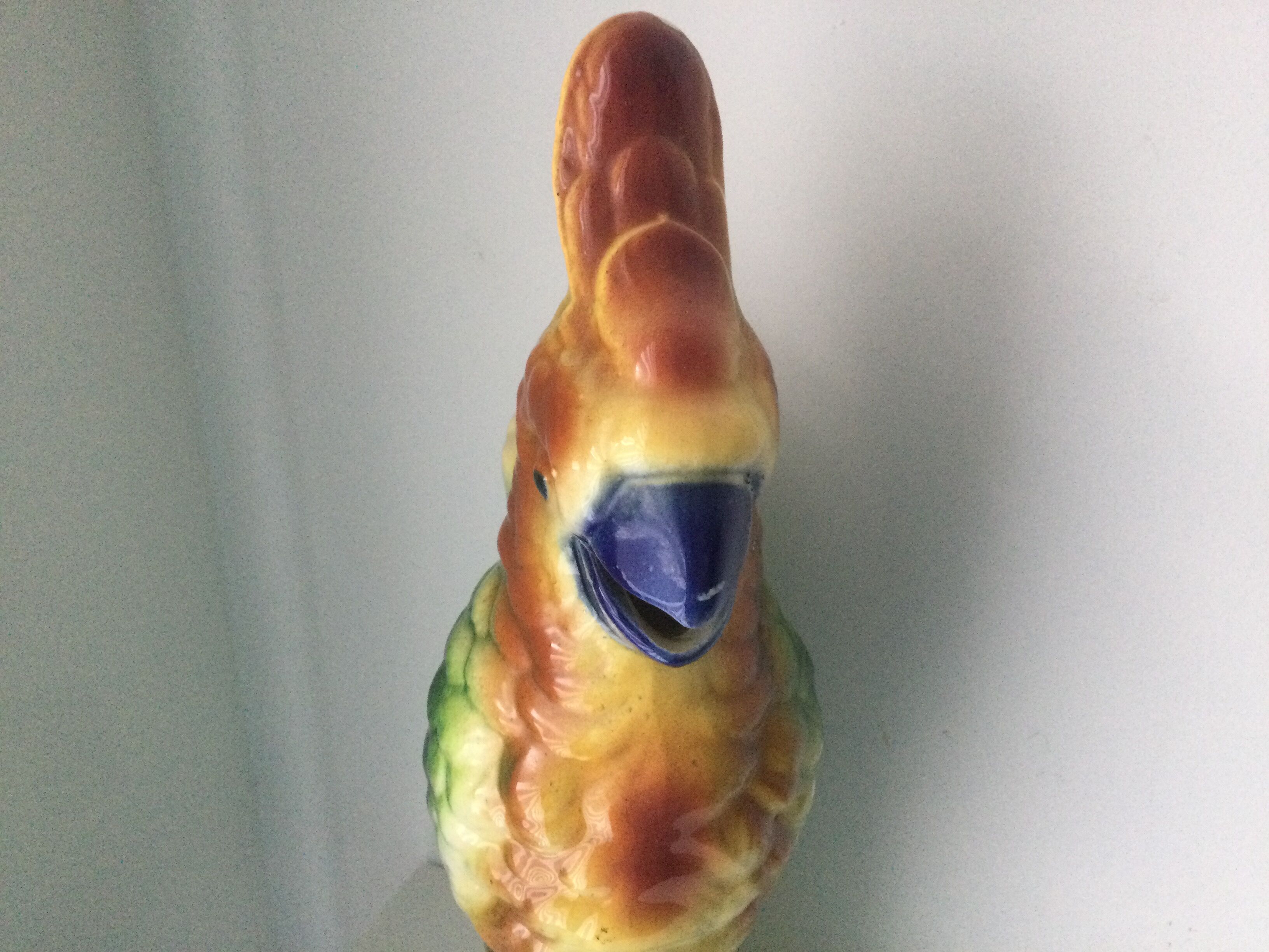 Parrot pitcher in Slip