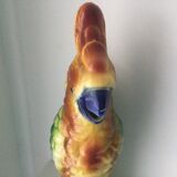 Parrot pitcher in Slip