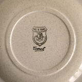 Suite of 4 plates "comet"