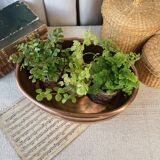 Oval hammered copper planter