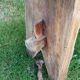Banc de ferme en chêne