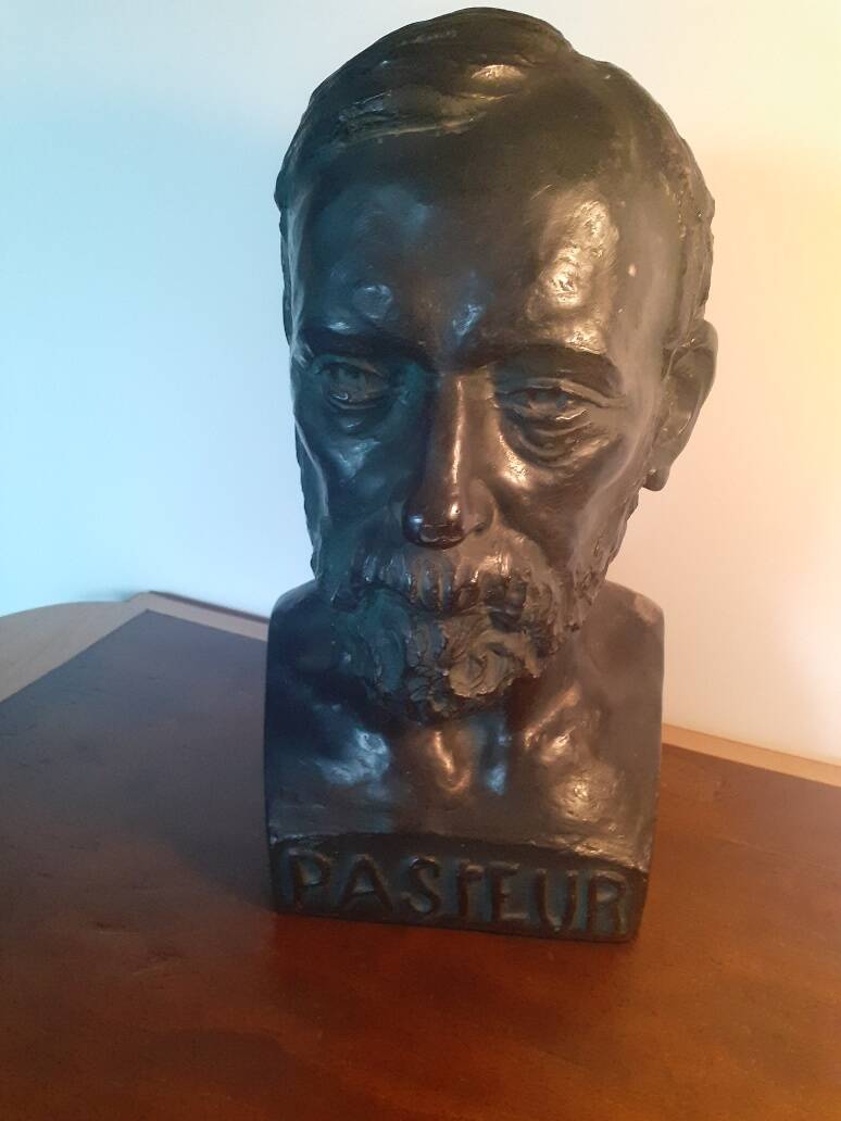 Large plaster bust of Louis Pasteur