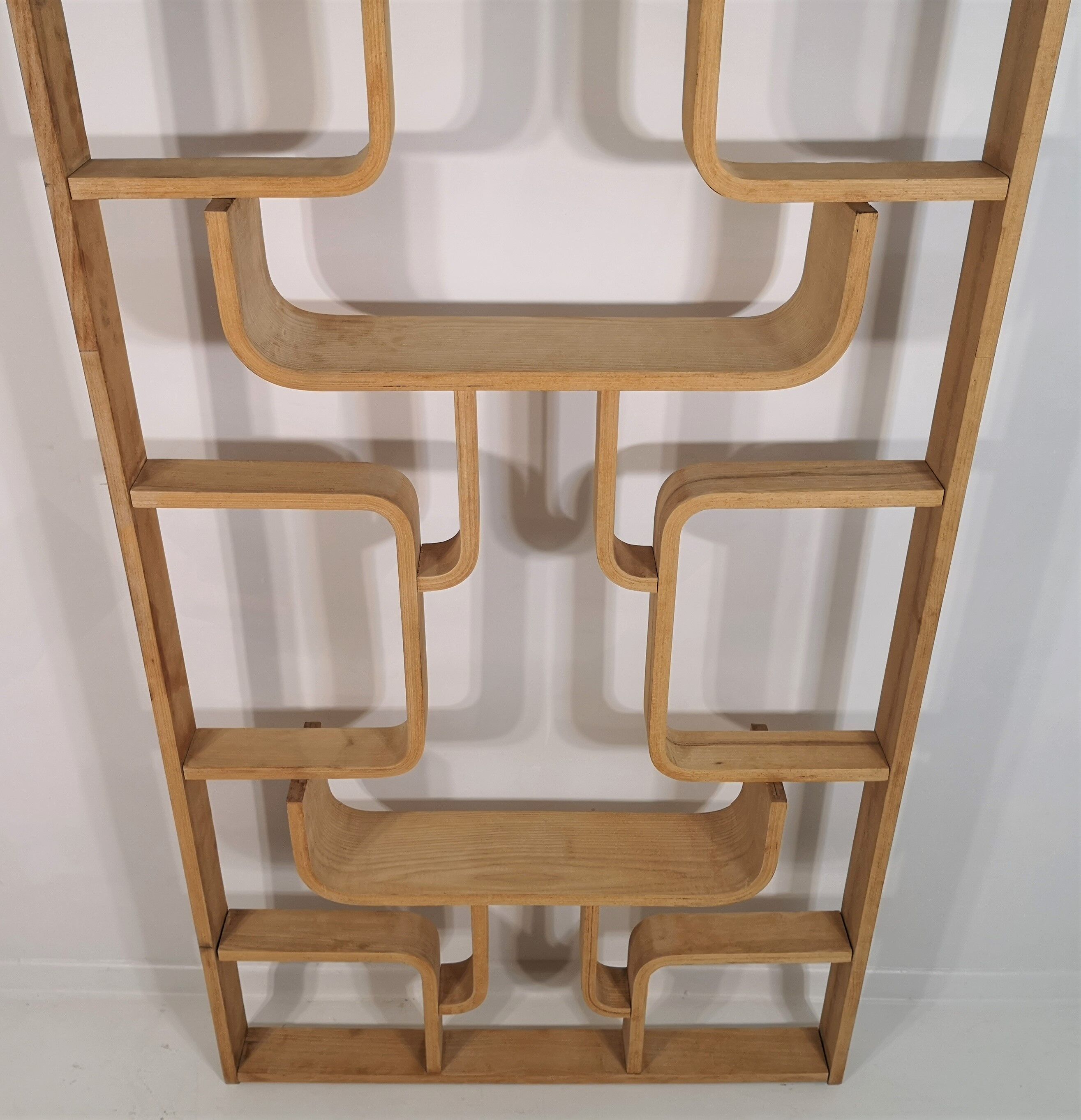 Room Divider designed by Ludvik Volak by Drevopodnik Holesov, 1960s