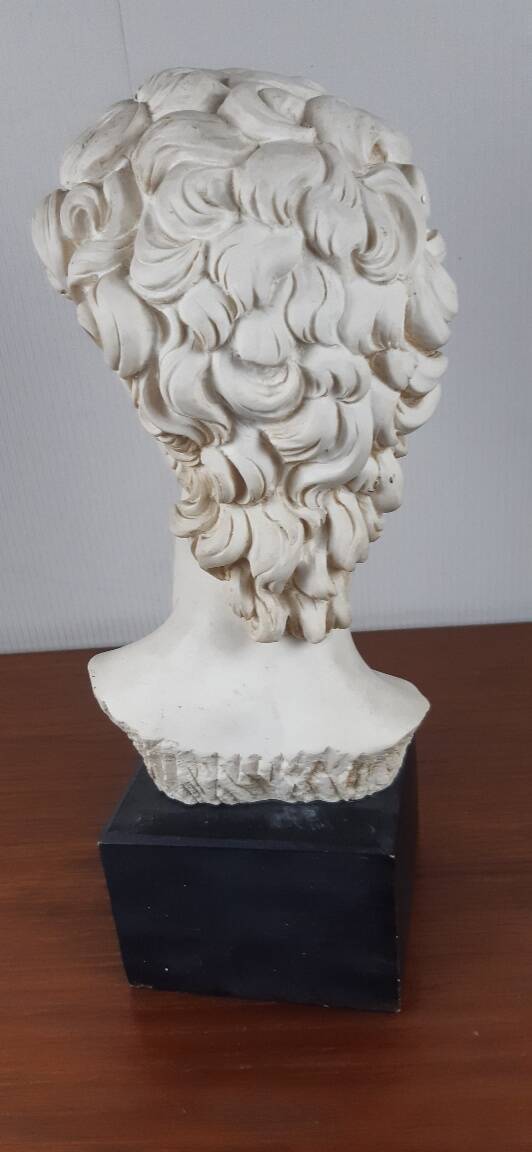 Large vintage bust "David" by Michelangelo