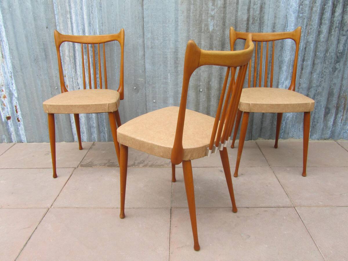 Mid-Century Dutch Organic Design Chairs from Stevens, 1950s, Set of 3