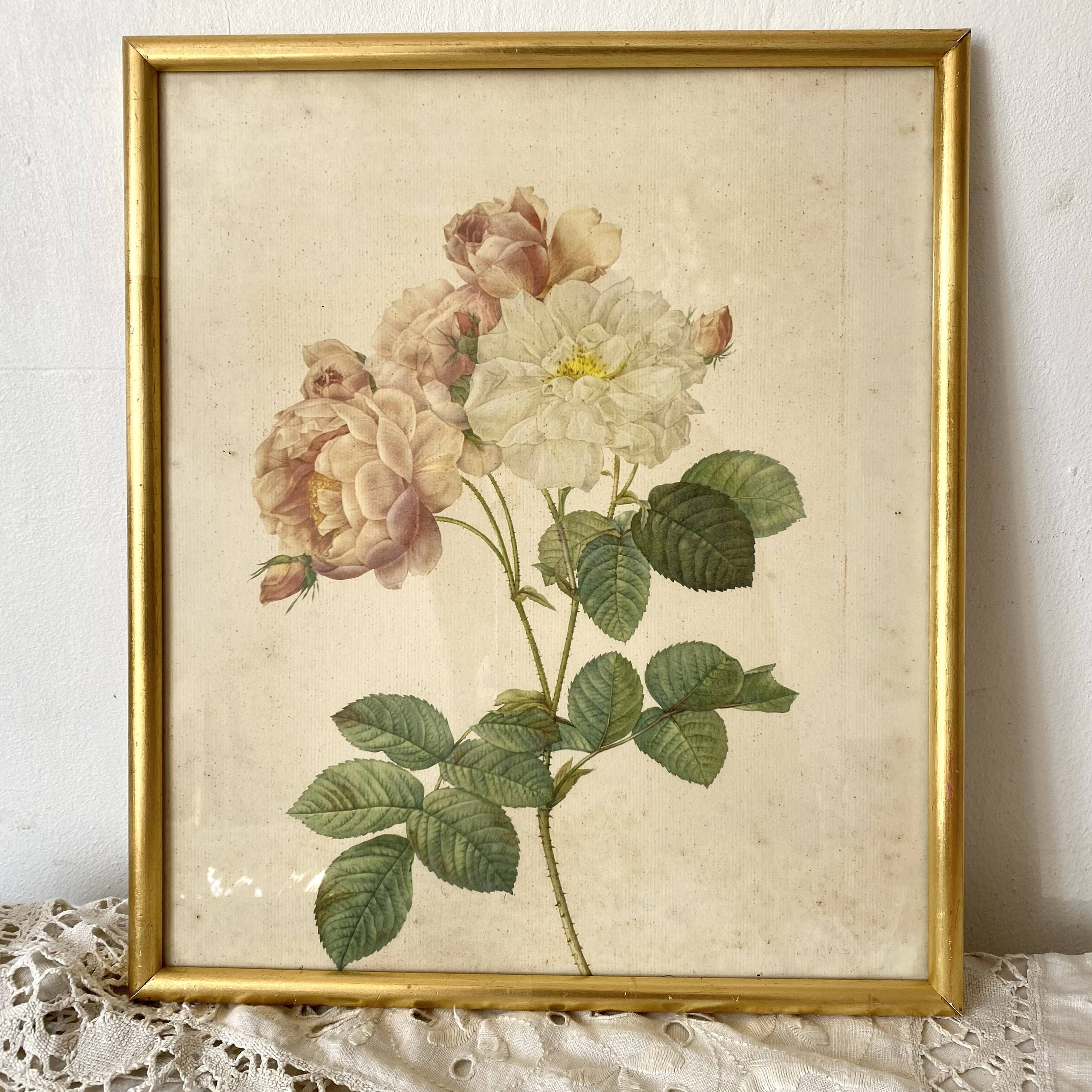 Framed pink botanical board