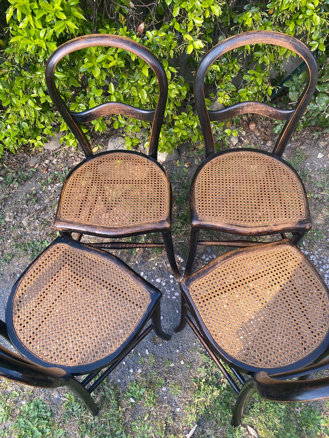 4 Napoleon III blackened wooden chairs