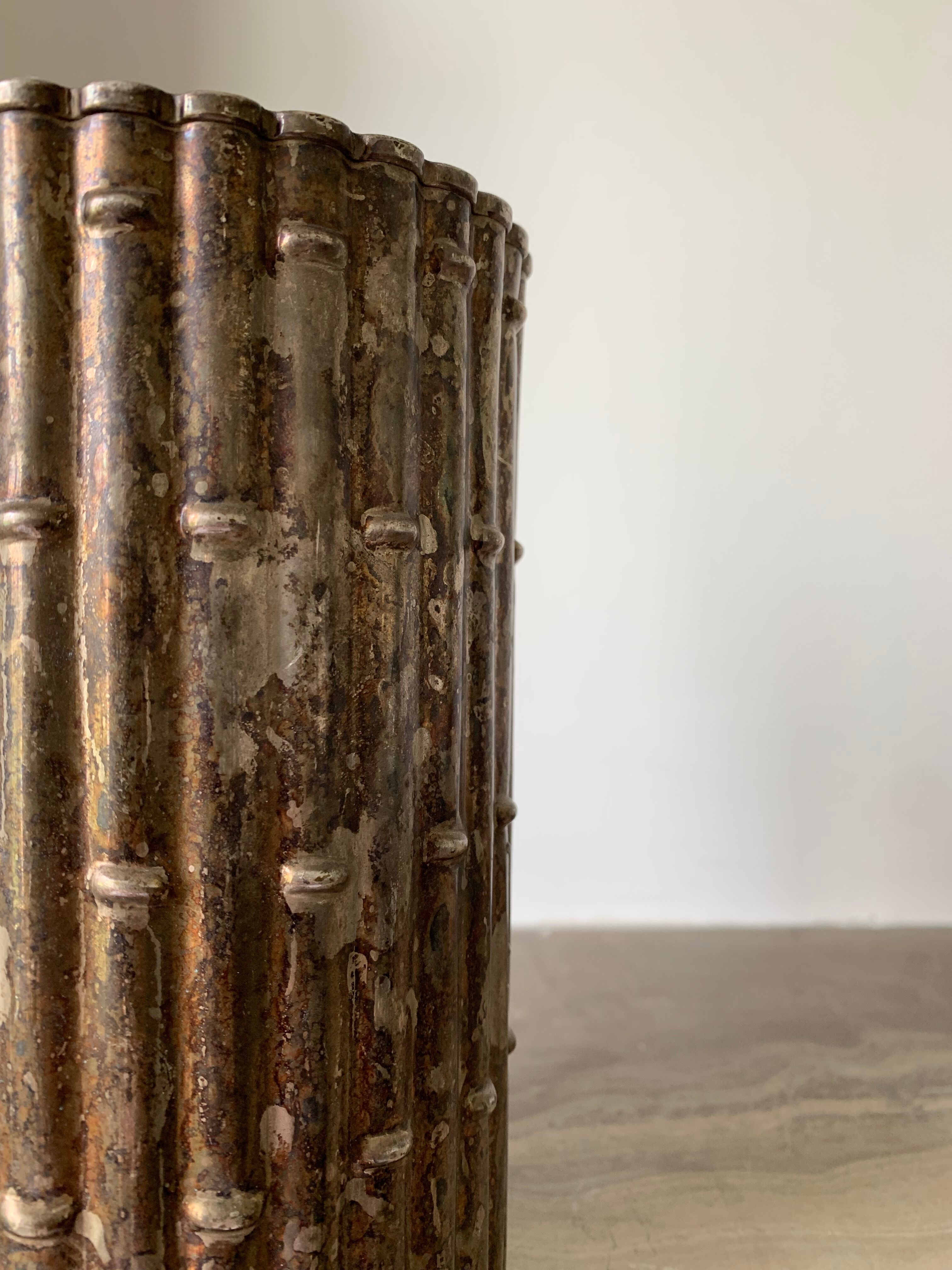 Silver vase bamboo pattern vegetale