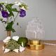 Vintage globe table lamp in half frosted, half transparent glass