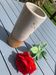 Roll vase from the La Colombe pottery in Vallauris.