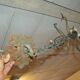 Wrought iron chandelier