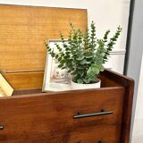 Vintage chest of drawers/chiffonier