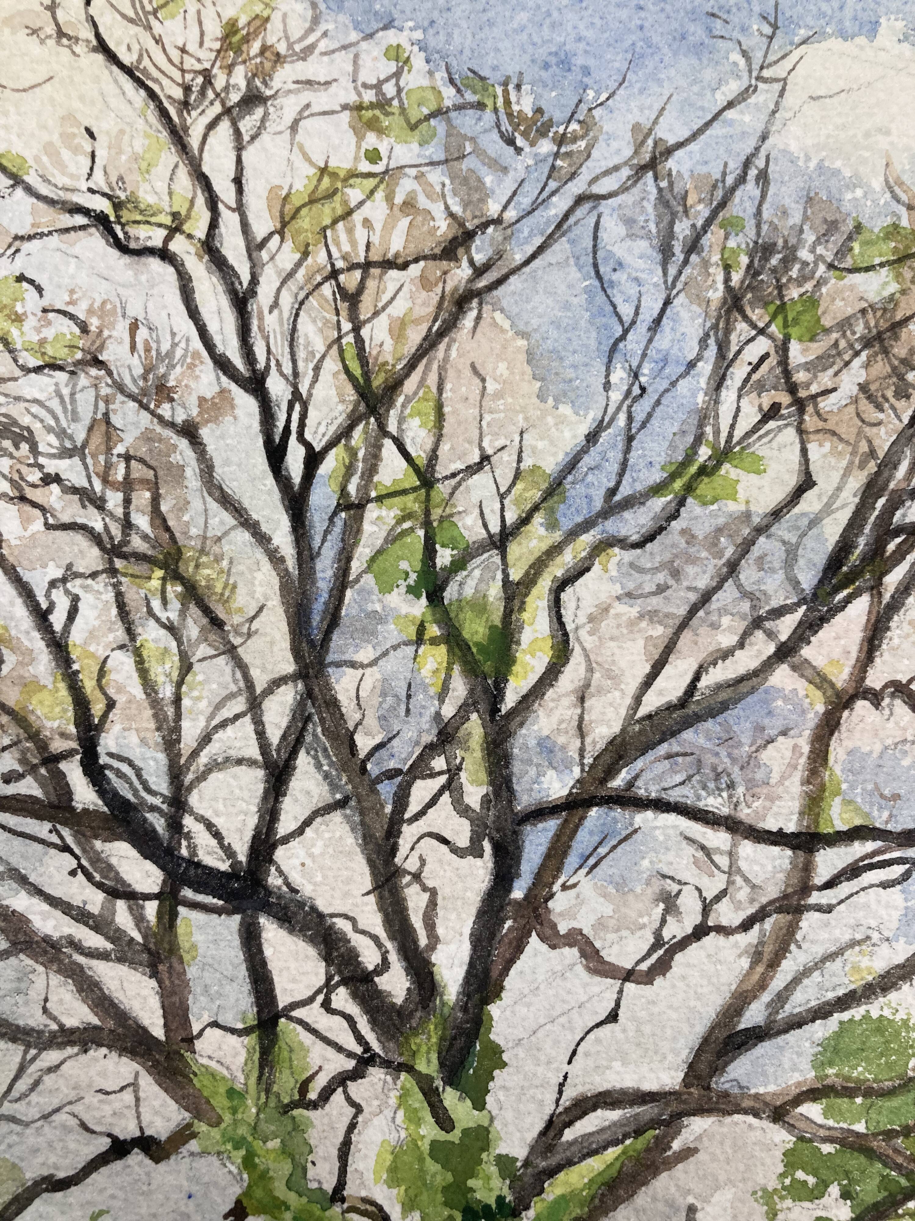 Aquarelle Maison aux Iris