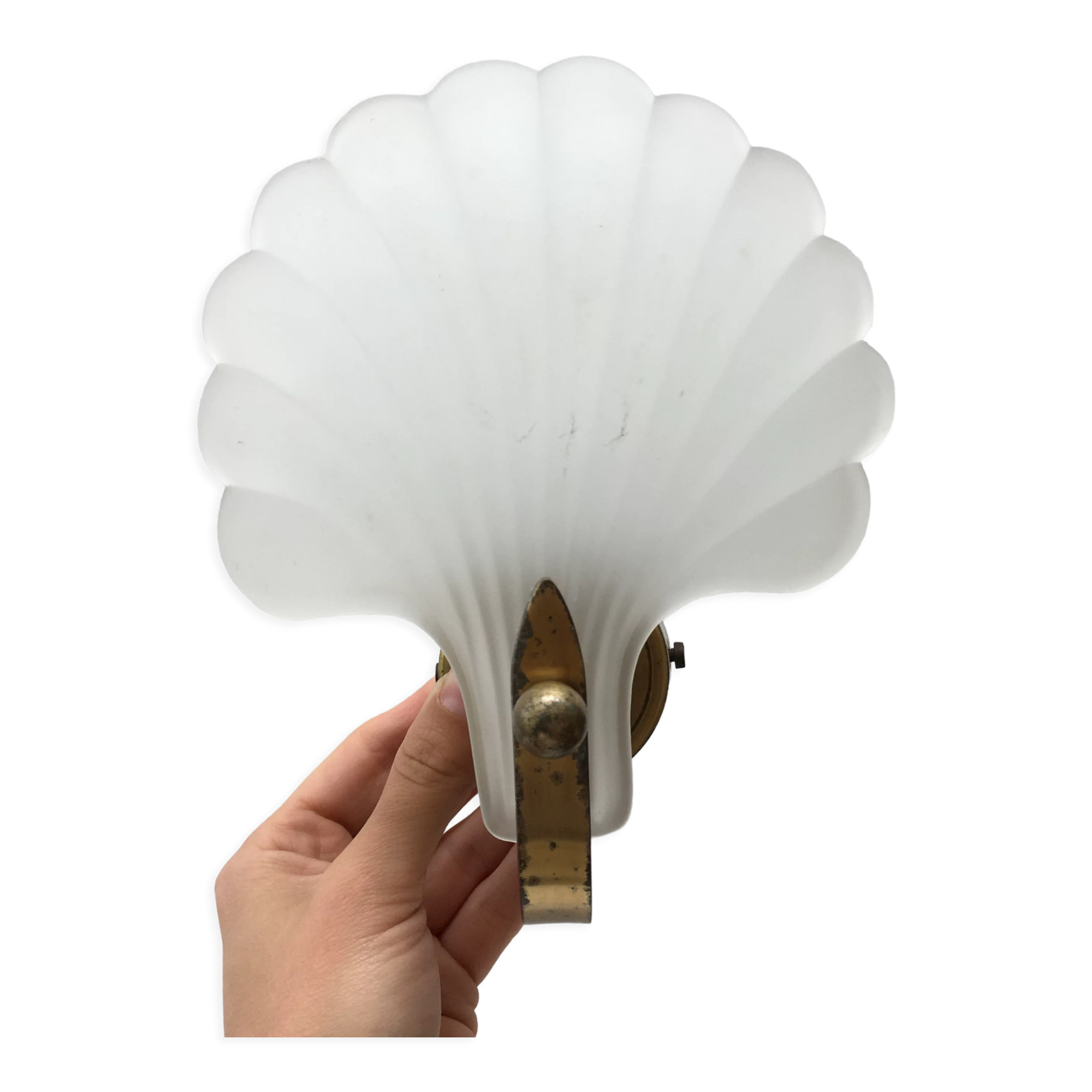 Shell wall lamp 70s Deknudt