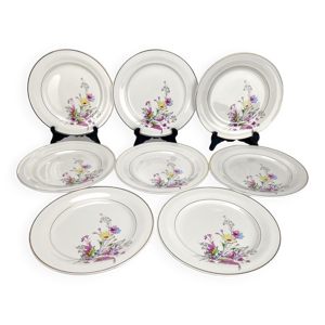 Lot de 8 assiettes plates Céranord